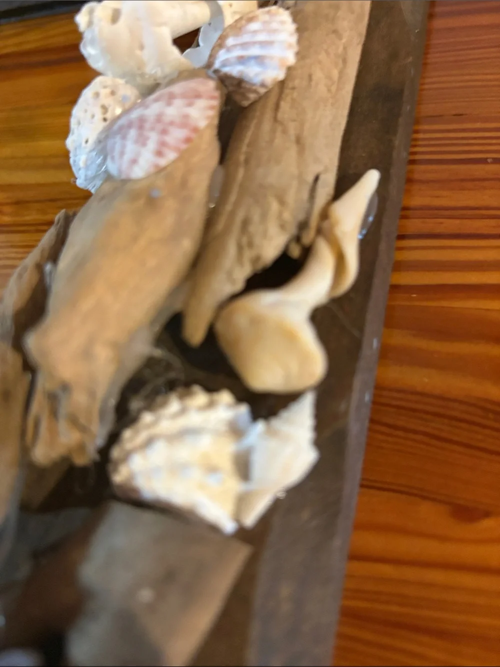 Real Driftwood & Seashell Decorative Photo Frame Handmade Coastal Nautical Decor